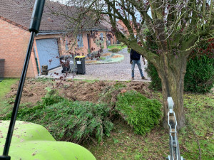 Photo de galerie - Arrachage d une haie de sapin avec engins agricole 