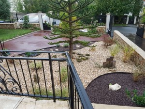 Photo de galerie - Paysagiste - Aménagement du jardin