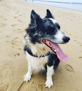 Photo de galerie - Balade a la plage 