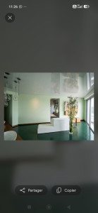 Photo de galerie - Mur vert clair  et sol en résine vert foncé  