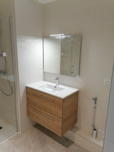 Photo de galerie - Meuble salle de bain miroir 