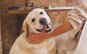 Photo de galerie - ??‍??





