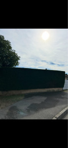 Photo de galerie - Taille de haie 