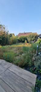 Photo de galerie - Remise en état jardin. 
AVANT