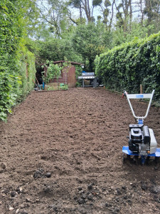 Photo de galerie - Paysagiste - Aménagement du jardin