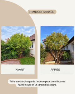 Photo de galerie - Taille arbre 