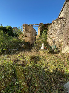 Photo de galerie - Débroussaillage  