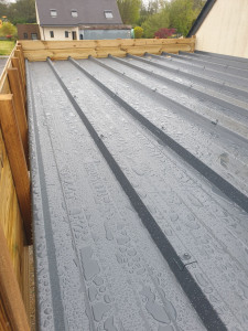 Photo de galerie - Toiture du carport 