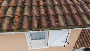 Photo de galerie - Contrôle et demoussage de vos tuiles..

Contrôle visuel sans risque avec conte rendus  photoS et Vidéos , possibilité de demoussage à la perche ( 5 M ) , débouchage de vos goutieres ( au Furet) 