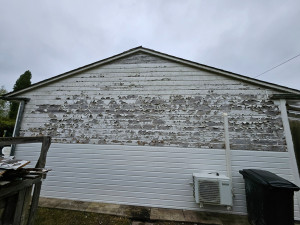 Photo de galerie - Peinture - Tapisserie