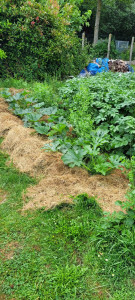 Photo de galerie - Permaculture 