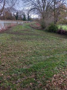 Photo de galerie - Jardinier