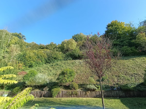 Photo de galerie - Remise en état d'espace vert (Fauchage d'un talue puis taille d'arbustes)