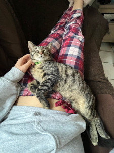 Photo de galerie - Pet-sitting chez des amis 