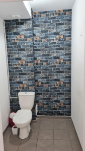 Photo de galerie - Tapisserie d'un mur de WC
