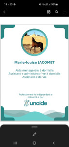 Photo de galerie - Ménage, repassage,