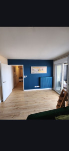 Photo de galerie - Mur de séjour après travaux 