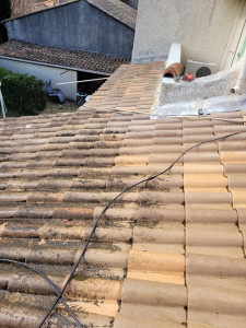 Photo de galerie - Nettoyage réparation toiture 