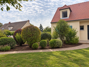 Photo de galerie - Entretien complet d’un jardin : tonte, taille et mise en forme des arbustes, finitions et nettoyage pour un rendu propre et soigné.
