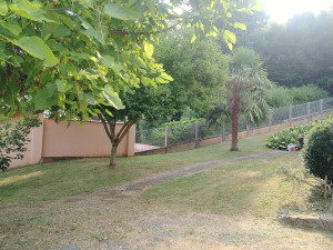 Photo de galerie - Entretien jardin , tonte + débroussaillage bordure