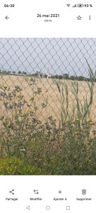 Photo de galerie - Clôture Grillage