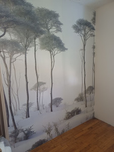 Photo de galerie - Pose d un panoramique 
