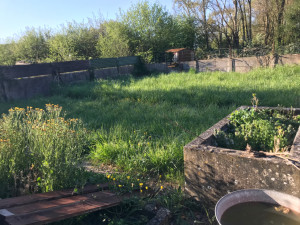 Photo de galerie - Tonte de pelouse - Débroussaillage