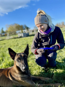 Photo de galerie - Hugo, berger belge malinois