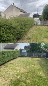 Photo de galerie - Taille de haie et tonte pelouse