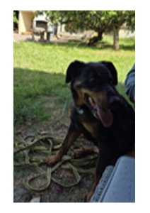 Photo de galerie - La belle beaucerone