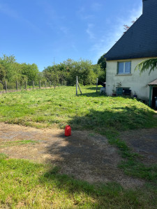 Photo de galerie - Débroussaillage 