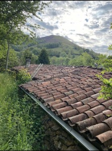 Photo de galerie - Couverture - Toiture
