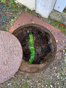 Photo de galerie - Recherche de réseaux