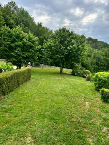 Photo de galerie - Tonte de pelouse - Débroussaillage