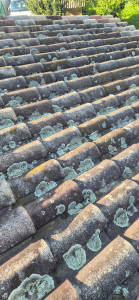 Photo de galerie - Nettoyage toiture 