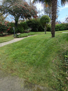 Photo de galerie - Tonte