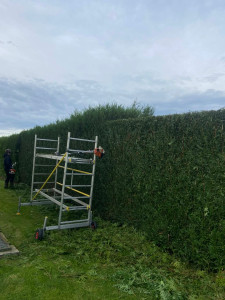 Photo de galerie - Taille ?