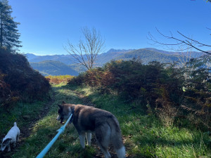 Photo de galerie - Petite balade 