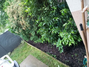 Photo de galerie - Paysagiste - Aménagement du jardin