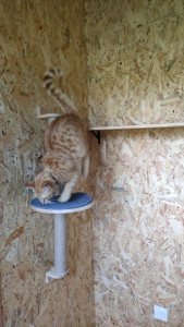 Photo de galerie - Plateforme murale