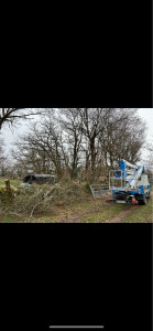 Photo de galerie - Elagage et coupe d'arbres