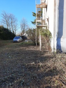 Photo de galerie - Tonte de pelouse - Débroussaillage