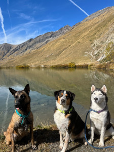 Photo de galerie - Randonnée