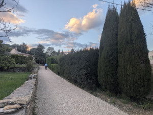 Photo de galerie - Taille de haies et d'arbustes