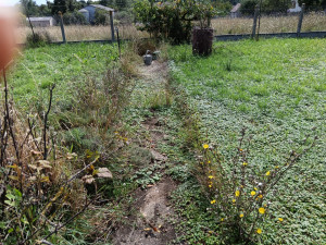 Photo de galerie - Bricolage et multi services