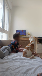 Photo de galerie - La fois où le Petit garçon que je gardais et le chat que j'ai accueilli chez moi ont fait copains ?