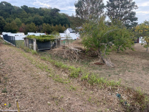 Photo de galerie - Paysagiste - Aménagement du jardin