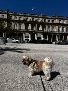 Photo de galerie - Les longues balades avec Nora