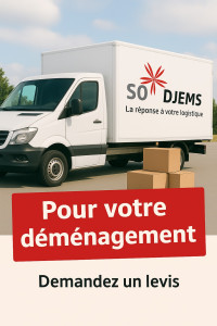 Photo de galerie - 10 Camions pour vos transport