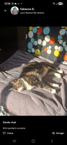Photo de galerie - Garde chat
